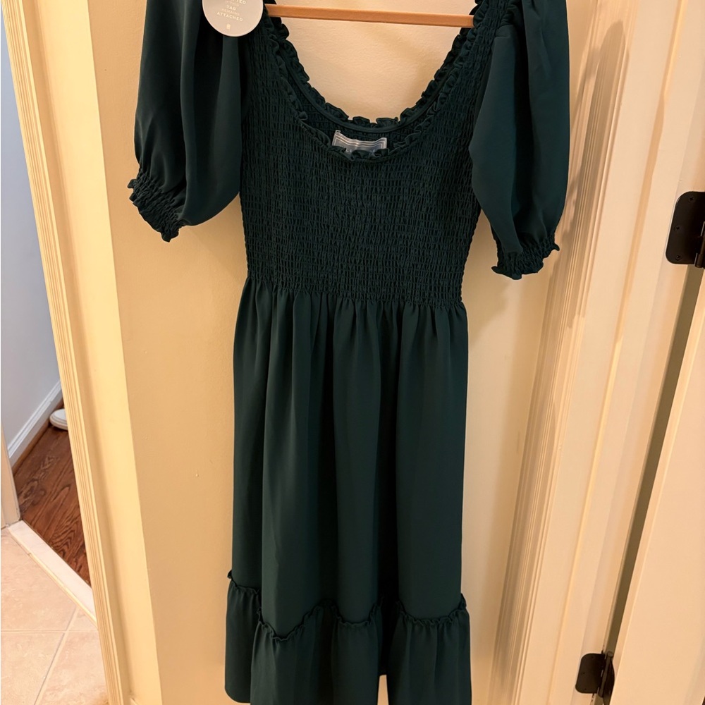 Hill House Louisa Nap Dress in Green Crepe (size xs) NEW with tags